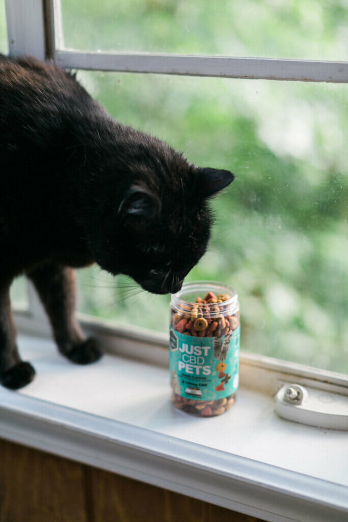 CBD Cat Treats