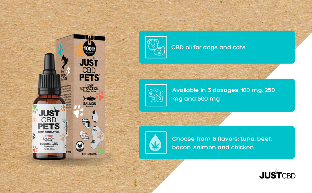 CBD Oil for Cats and Dogs by JustCBD