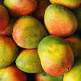 Mango Ice