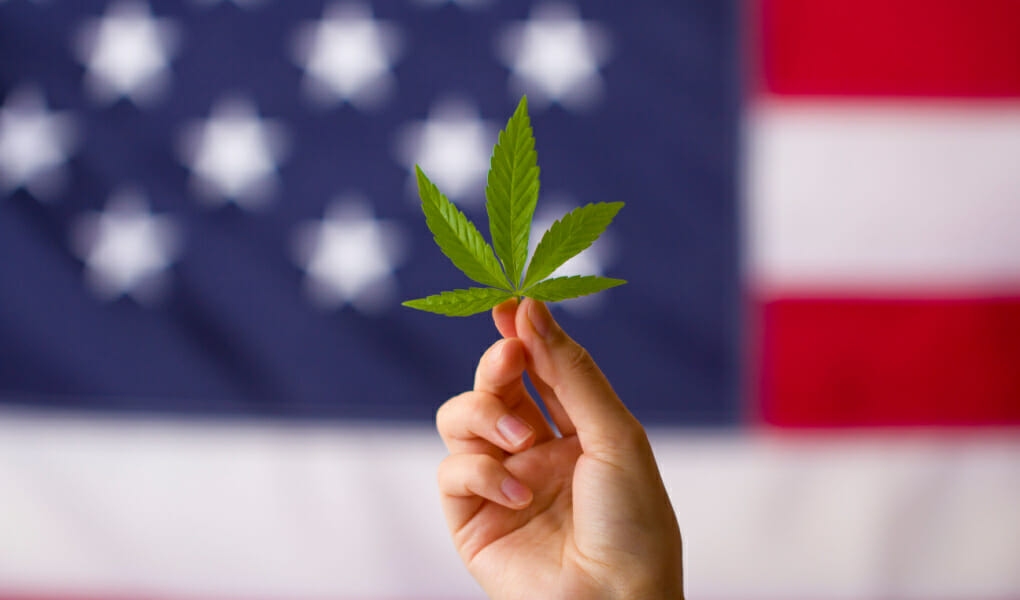 2023 Indiana Cannabis Laws_ Is Weed Legal in Indiana_ Complete Guide on Marijuana, Delta 8, and CBD Laws
