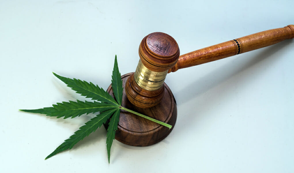 Is Weed Legal in Hawaii_ Guide to Cannabis, CBD, and Edibles Laws in Hawaii (2023 Update)