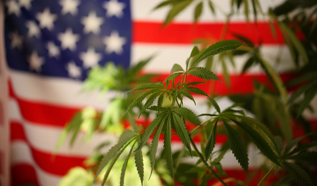 A Comprehensive Guide to CBD Edibles in Arizona 2024 - JustCBD